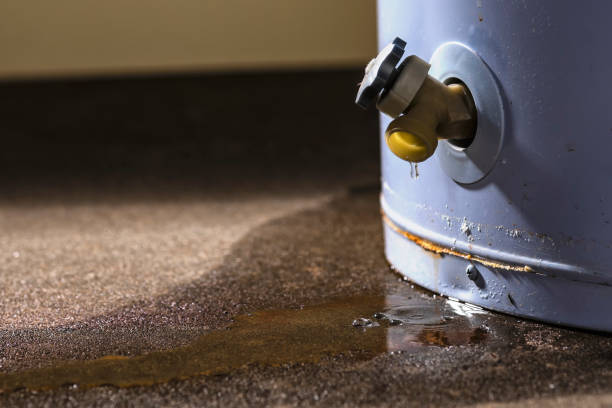 Best Water damage contractors near me  in South Browning, MT