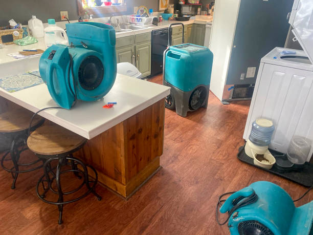 Best Commercial water damage restoration  in South Browning, MT