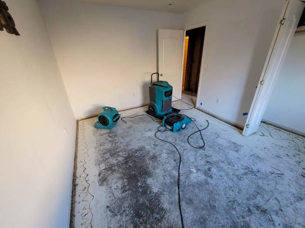 Best Water damage restoration near me  in South Browning, MT