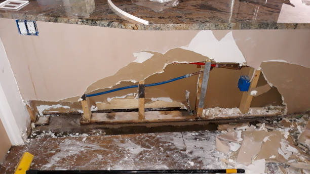 Best Fire Damage Restoration  in South Browning, MT