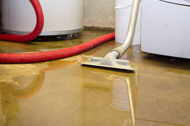 Best Professional water damage repair  in South Browning, MT