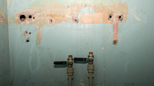 Best Carpet water damage restoration  in South Browning, MT