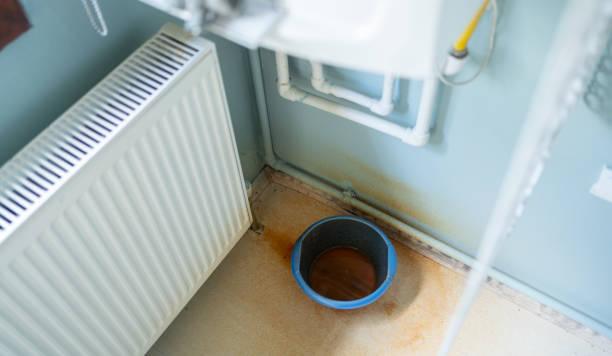 Best Flood restoration services  in South Browning, MT