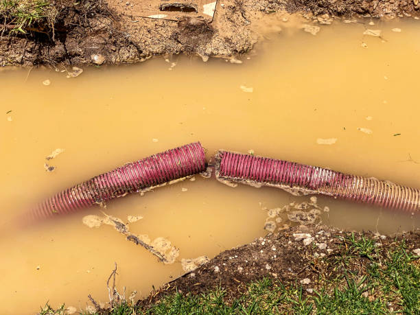  South Browning, MT Water damage restoration Pros