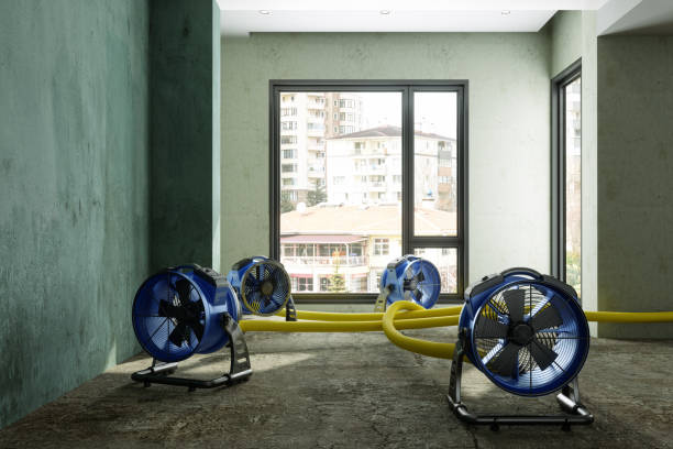Best Sewage cleanup and water damage restoration  in South Browning, MT
